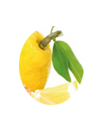 lemon pie 2